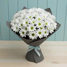 Букет цветов из:  Хризантемы в Кунгуре