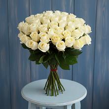 Букет 51 Белая роза Эдлесс Лав #REPLACE_PRED# Кунгуре