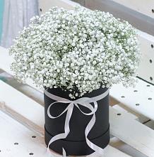 Цветочная композиция из Гипсофила в шляпной коробке в Кунгуре