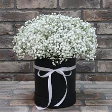 Цветочная композиция из Гипсофила в шляпной коробке #REPLACE_PRED# Кунгуре