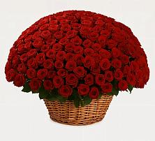 Премиум букет из: Розы в Кунгуре